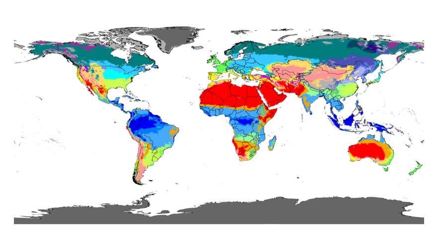 Why Coffee Is So Susceptible To Climate Change - Lightyear Coffee